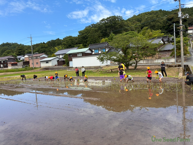 togoplanting
